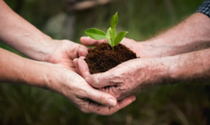 Future Sustainability Challenge