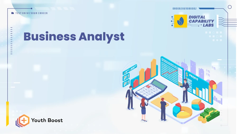 Business Analyst