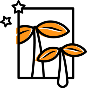 Step 5: Reflect & Grow
